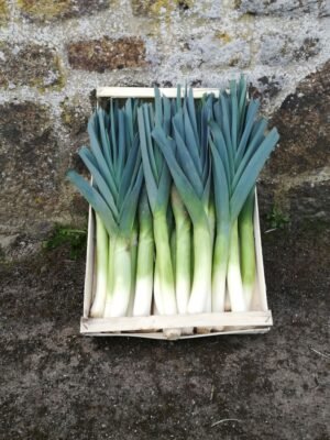 POIREAU - cageot 3 kg - 2,25 €/kg -